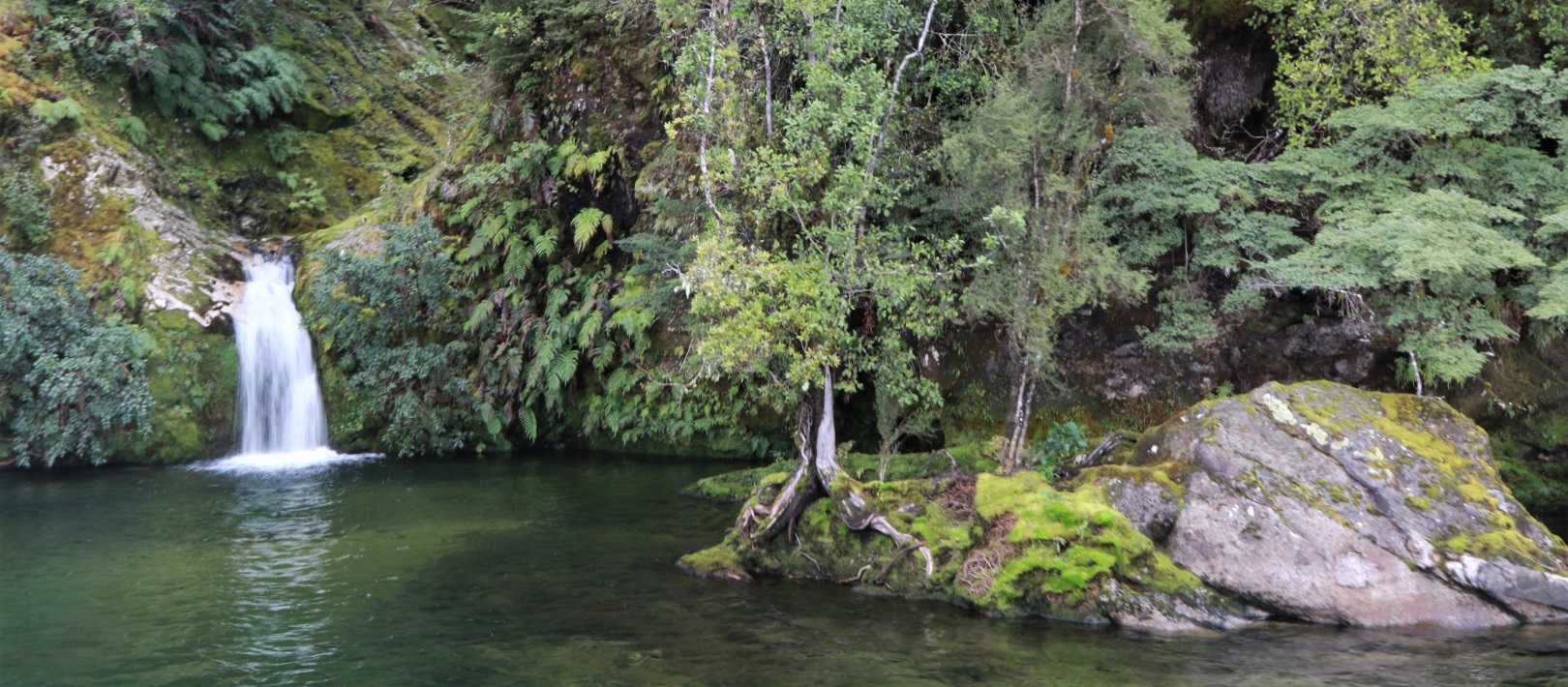 South Fiord, Te Anau South Fiord, Te Anau