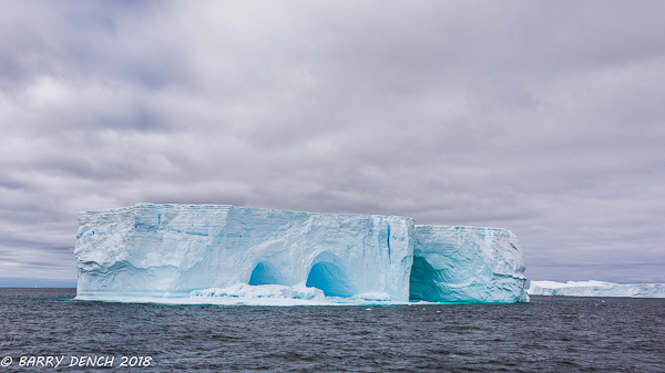 Icebergs in Weddell Sea