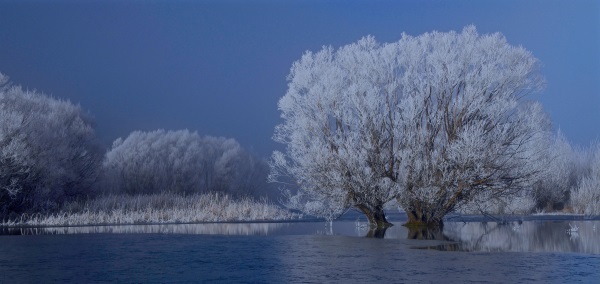 Carl Thompson: Lake Pearson