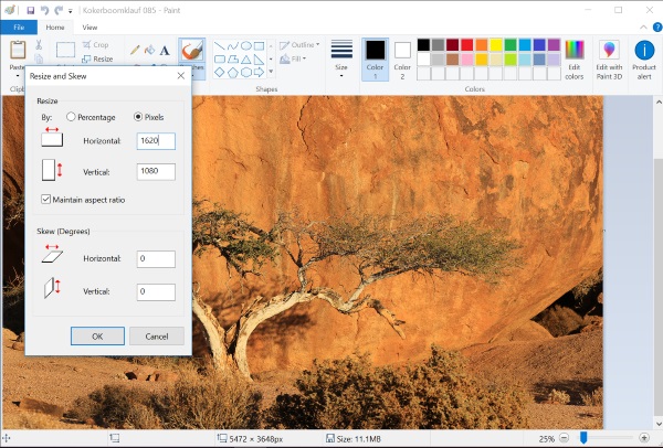 paint